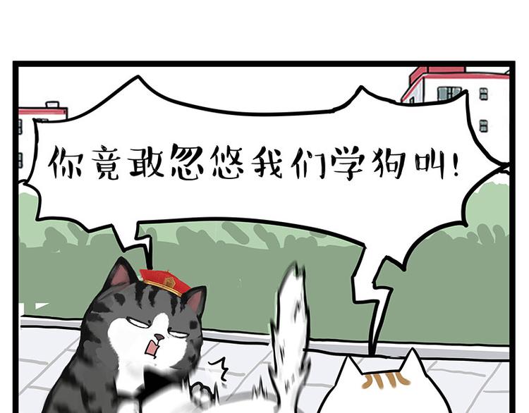 🍘吾皇巴扎黑 第277话 猫斗猫 第29页