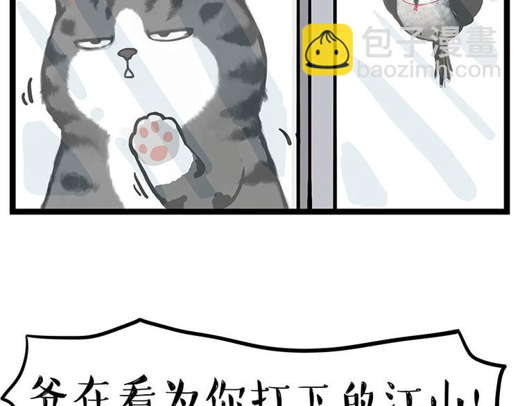 🍘吾皇巴扎黑 第277话 猫斗猫 第3页