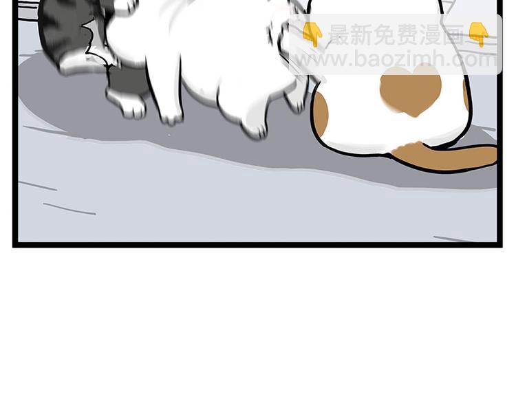 🍘吾皇巴扎黑 第277话 猫斗猫 第30页