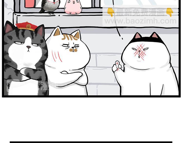 🍘吾皇巴扎黑 第277话 猫斗猫 第33页