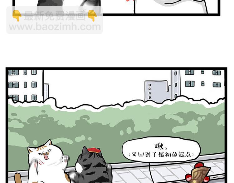🍘吾皇巴扎黑 第277话 猫斗猫 第35页