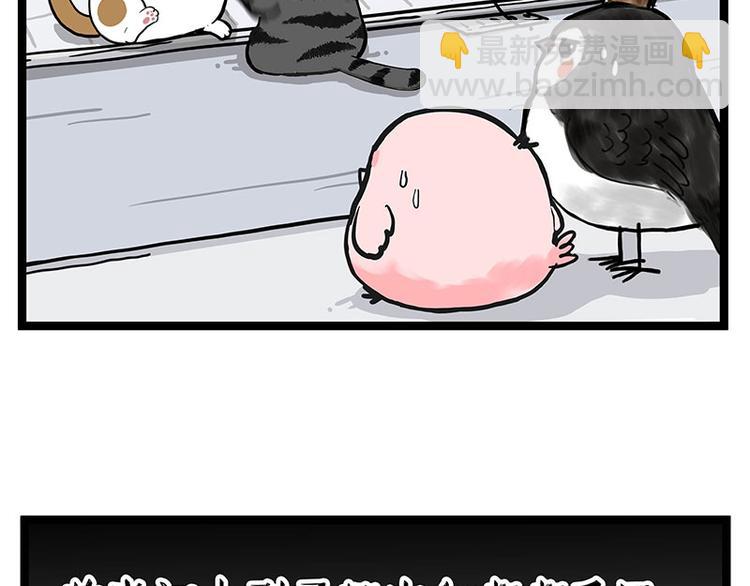 🍘吾皇巴扎黑 第277话 猫斗猫 第36页