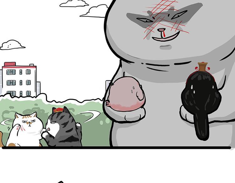 🍘吾皇巴扎黑 第277话 猫斗猫 第39页