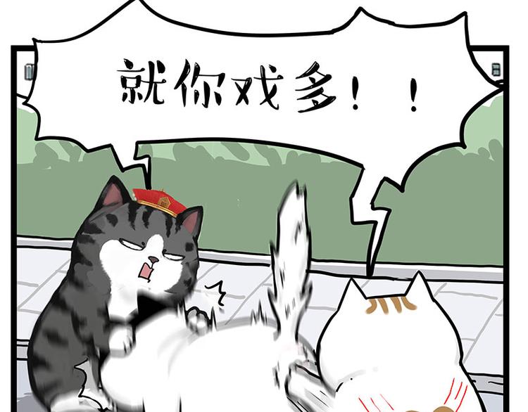 🍘吾皇巴扎黑 第277话 猫斗猫 第40页