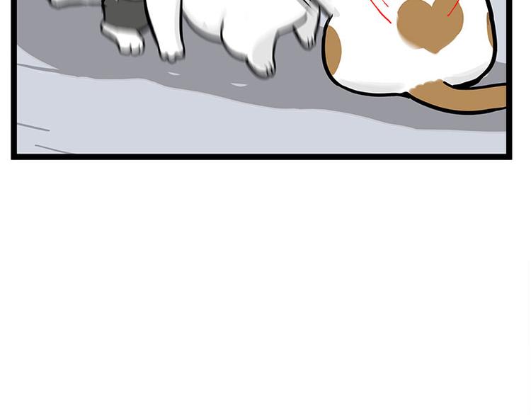 🍘吾皇巴扎黑 第277话 猫斗猫 第41页