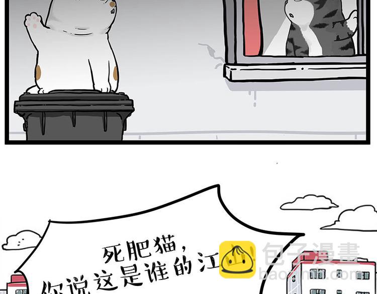 🍘吾皇巴扎黑 第277话 猫斗猫 第6页