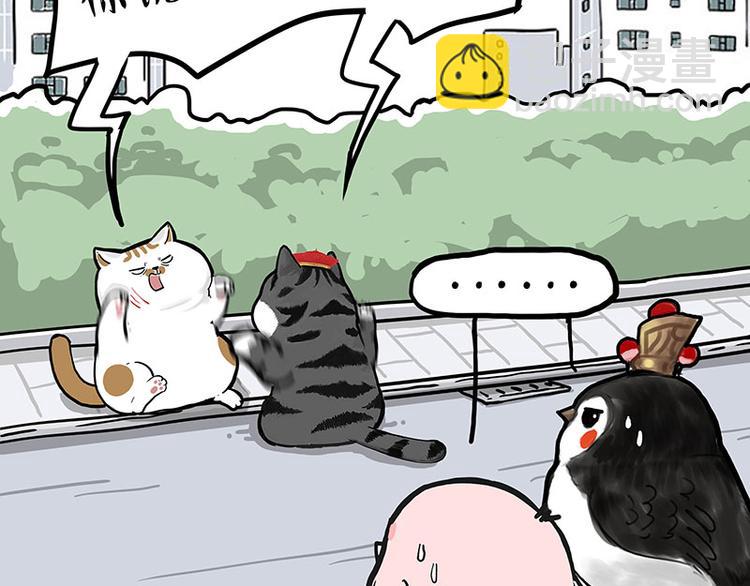 🍘吾皇巴扎黑 第277话 猫斗猫 第7页