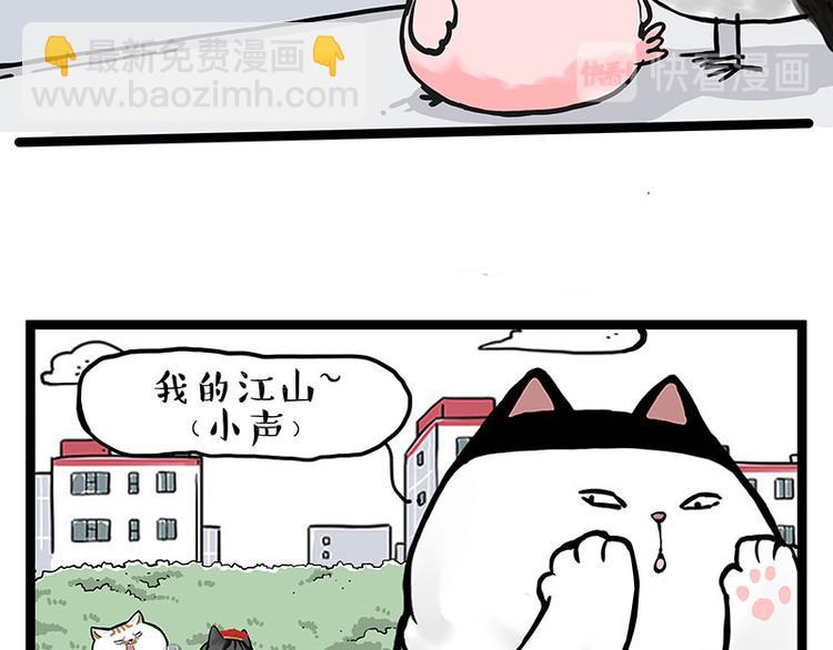 🍘吾皇巴扎黑 第277话 猫斗猫 第8页