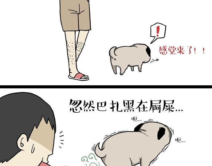 🍘吾皇巴扎黑 第29话 就算高考也要铲屎 第10页