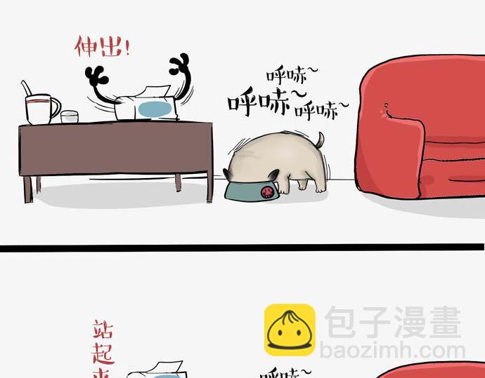 🍘吾皇巴扎黑 第29话 就算高考也要铲屎 第19页