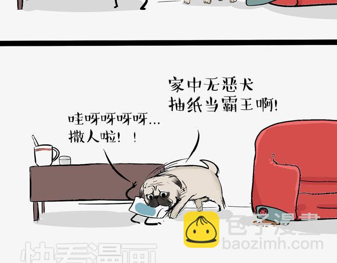 🍘吾皇巴扎黑 第29话 就算高考也要铲屎 第22页