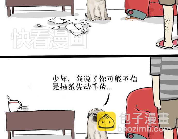 🍘吾皇巴扎黑 第29话 就算高考也要铲屎 第32页