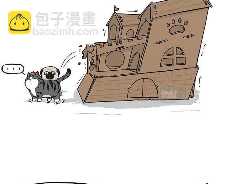 🍘吾皇巴扎黑 第283话 三角恋 第17页