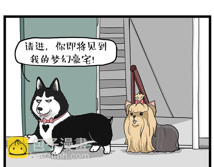 🍘吾皇巴扎黑 第283话 三角恋 第19页