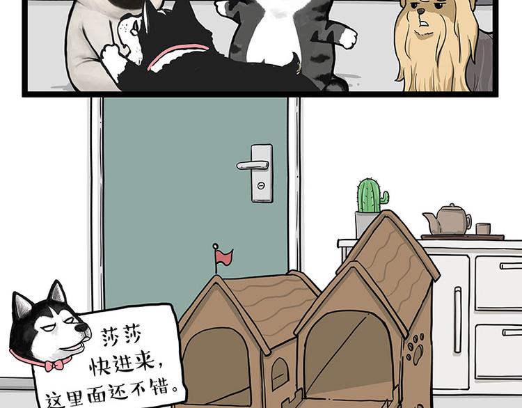 🍘吾皇巴扎黑 第283话 三角恋 第25页