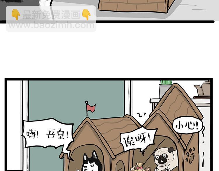 🍘吾皇巴扎黑 第283话 三角恋 第32页