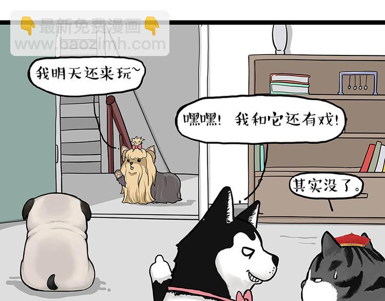 🍘吾皇巴扎黑 第283话 三角恋 第36页