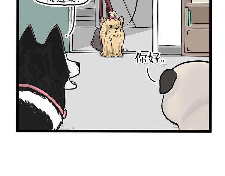 🍘吾皇巴扎黑 第283话 三角恋 第45页