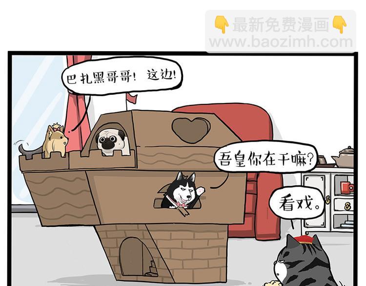 🍘吾皇巴扎黑 第283话 三角恋 第47页