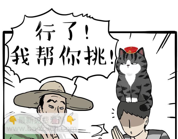 🍘吾皇巴扎黑 第285话 用四招4:0稳赢 第13页