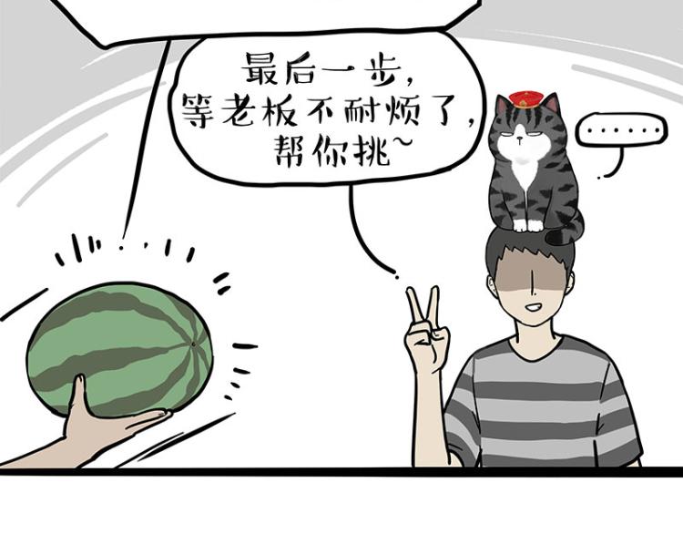🍘吾皇巴扎黑 第285话 用四招4:0稳赢 第15页