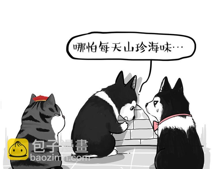 🍘吾皇巴扎黑 第289话 吹牛狗真牛 第13页