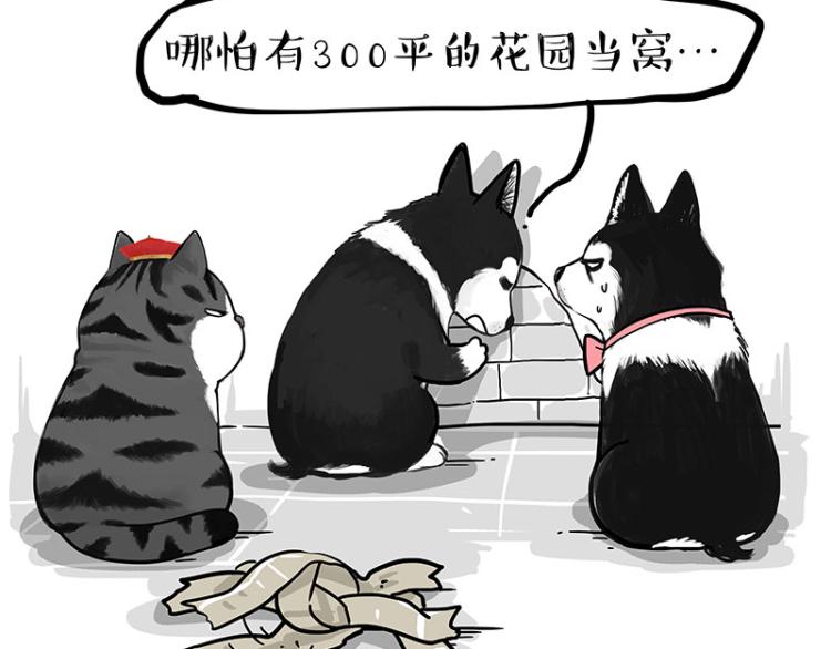 🍘吾皇巴扎黑 第289话 吹牛狗真牛 第15页