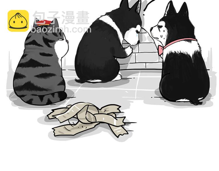 🍘吾皇巴扎黑 第289话 吹牛狗真牛 第17页