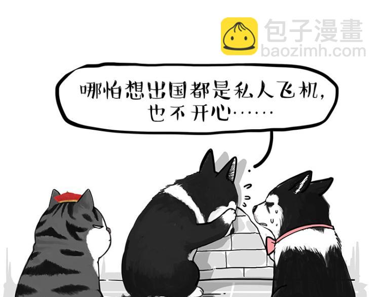🍘吾皇巴扎黑 第289话 吹牛狗真牛 第19页