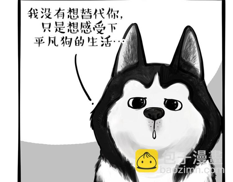 🍘吾皇巴扎黑 第289话 吹牛狗真牛 第3页