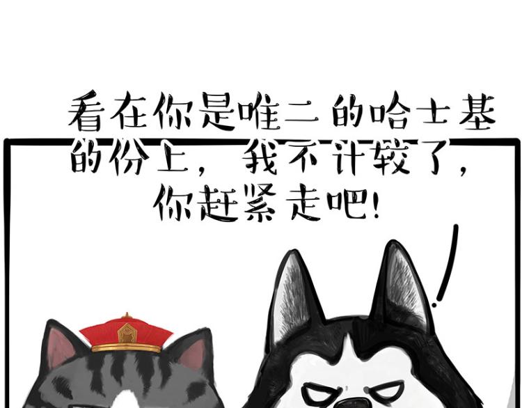 🍘吾皇巴扎黑 第289话 吹牛狗真牛 第34页