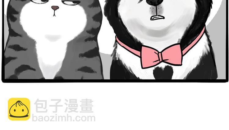 🍘吾皇巴扎黑 第289话 吹牛狗真牛 第35页