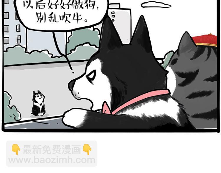 🍘吾皇巴扎黑 第289话 吹牛狗真牛 第38页