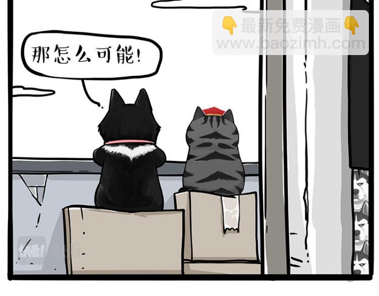 🍘吾皇巴扎黑 第289话 吹牛狗真牛 第41页