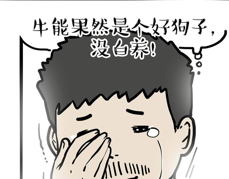 🍘吾皇巴扎黑 第289话 吹牛狗真牛 第44页