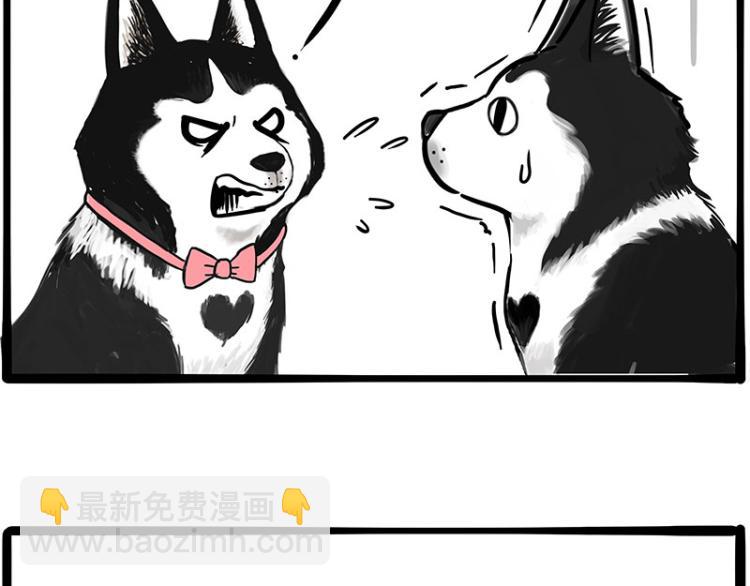 🍘吾皇巴扎黑 第289话 吹牛狗真牛 第6页