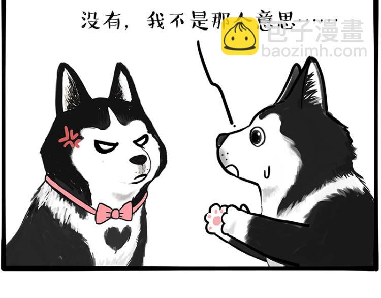 🍘吾皇巴扎黑 第289话 吹牛狗真牛 第7页