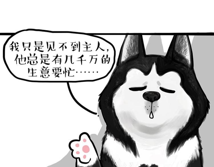 🍘吾皇巴扎黑 第289话 吹牛狗真牛 第8页