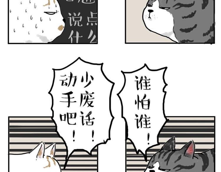 🍘吾皇巴扎黑 第291话 好兄弟，一辈子 第11页
