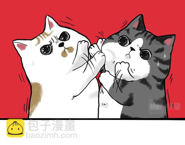 🍘吾皇巴扎黑 第291话 好兄弟，一辈子 第13页