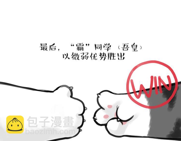 🍘吾皇巴扎黑 第291话 好兄弟，一辈子 第14页