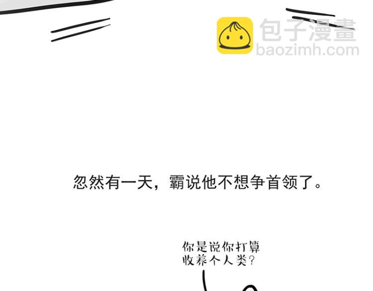 🍘吾皇巴扎黑 第291话 好兄弟，一辈子 第15页