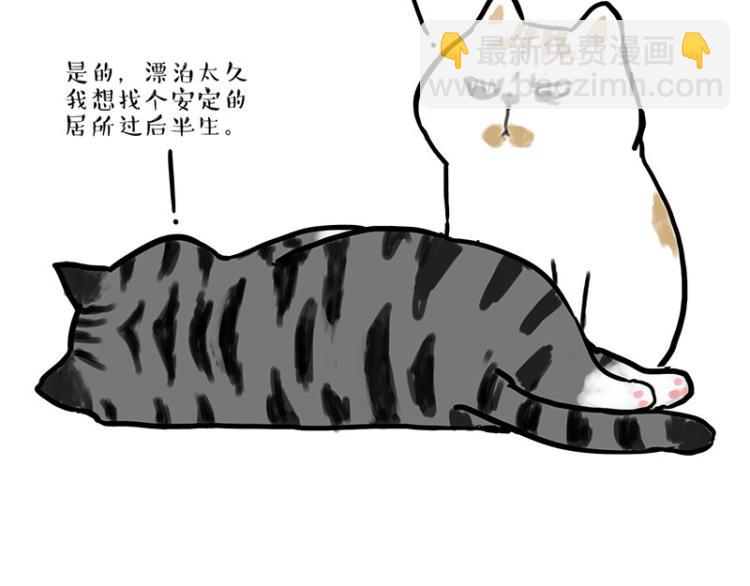 🍘吾皇巴扎黑 第291话 好兄弟，一辈子 第16页