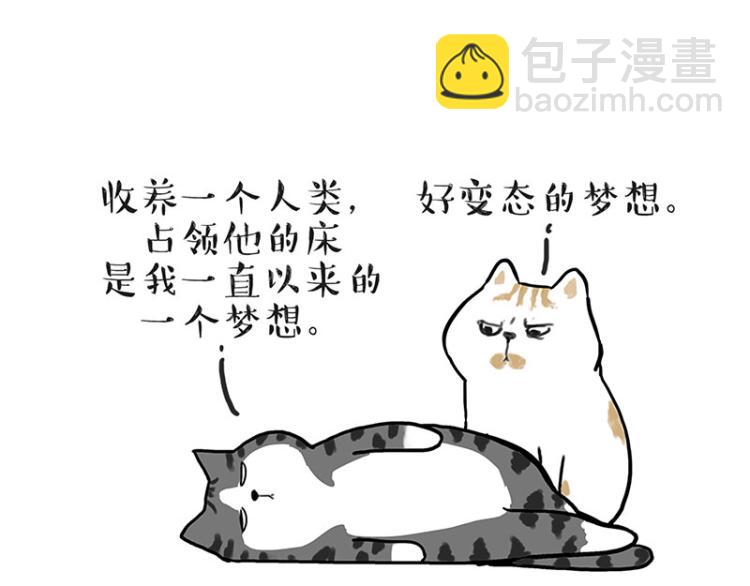 🍘吾皇巴扎黑 第291话 好兄弟，一辈子 第20页
