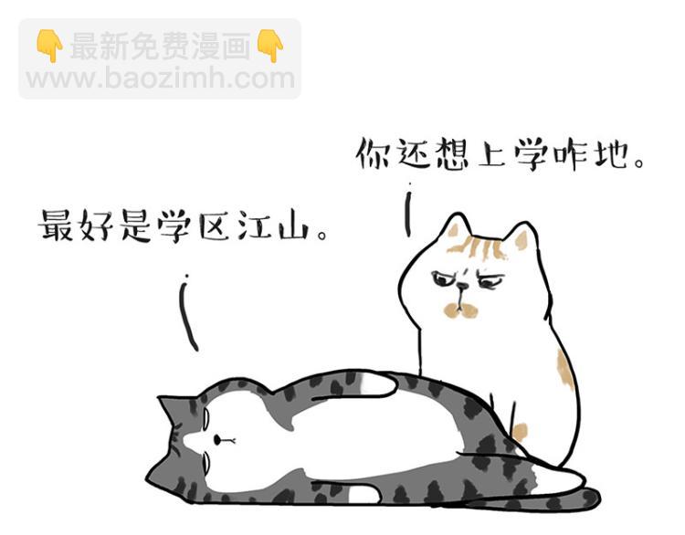 🍘吾皇巴扎黑 第291话 好兄弟，一辈子 第22页