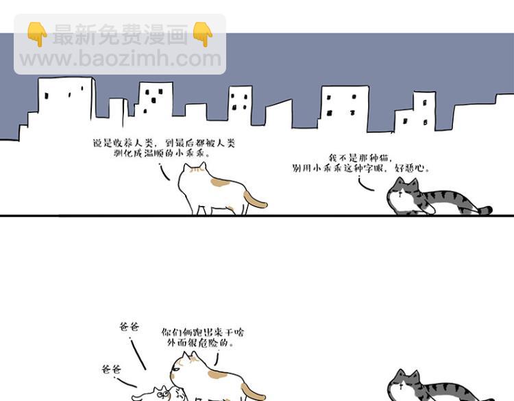🍘吾皇巴扎黑 第291话 好兄弟，一辈子 第25页