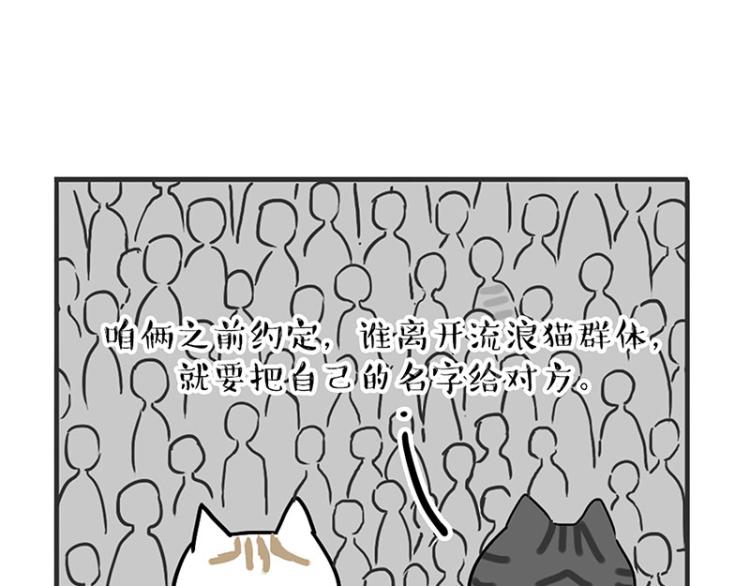 🍘吾皇巴扎黑 第291话 好兄弟，一辈子 第36页