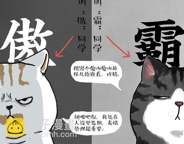 🍘吾皇巴扎黑 第291话 好兄弟，一辈子 第4页