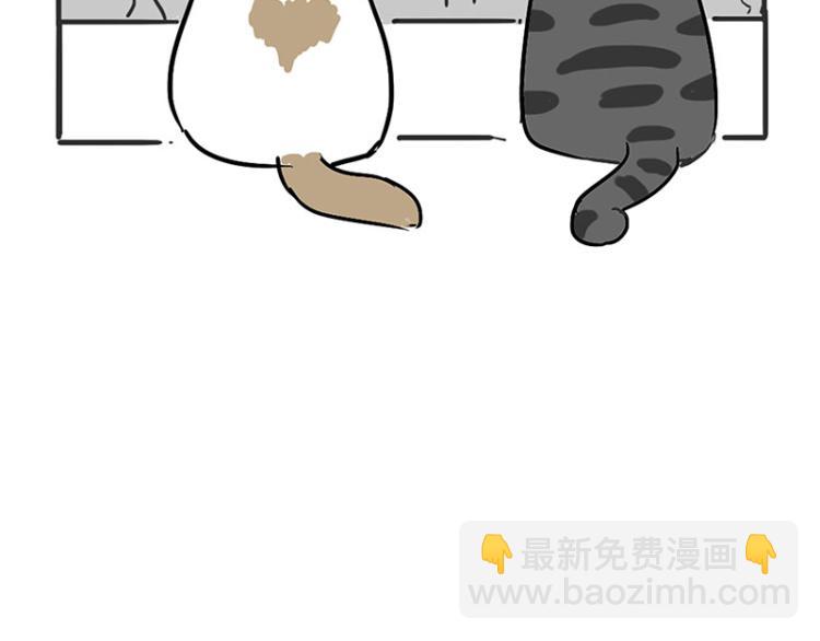 🍘吾皇巴扎黑 第291话 好兄弟，一辈子 第49页