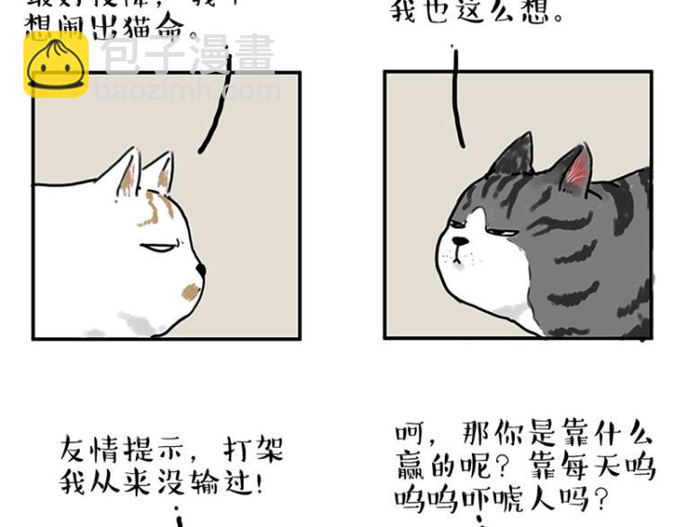 🍘吾皇巴扎黑 第291话 好兄弟，一辈子 第7页